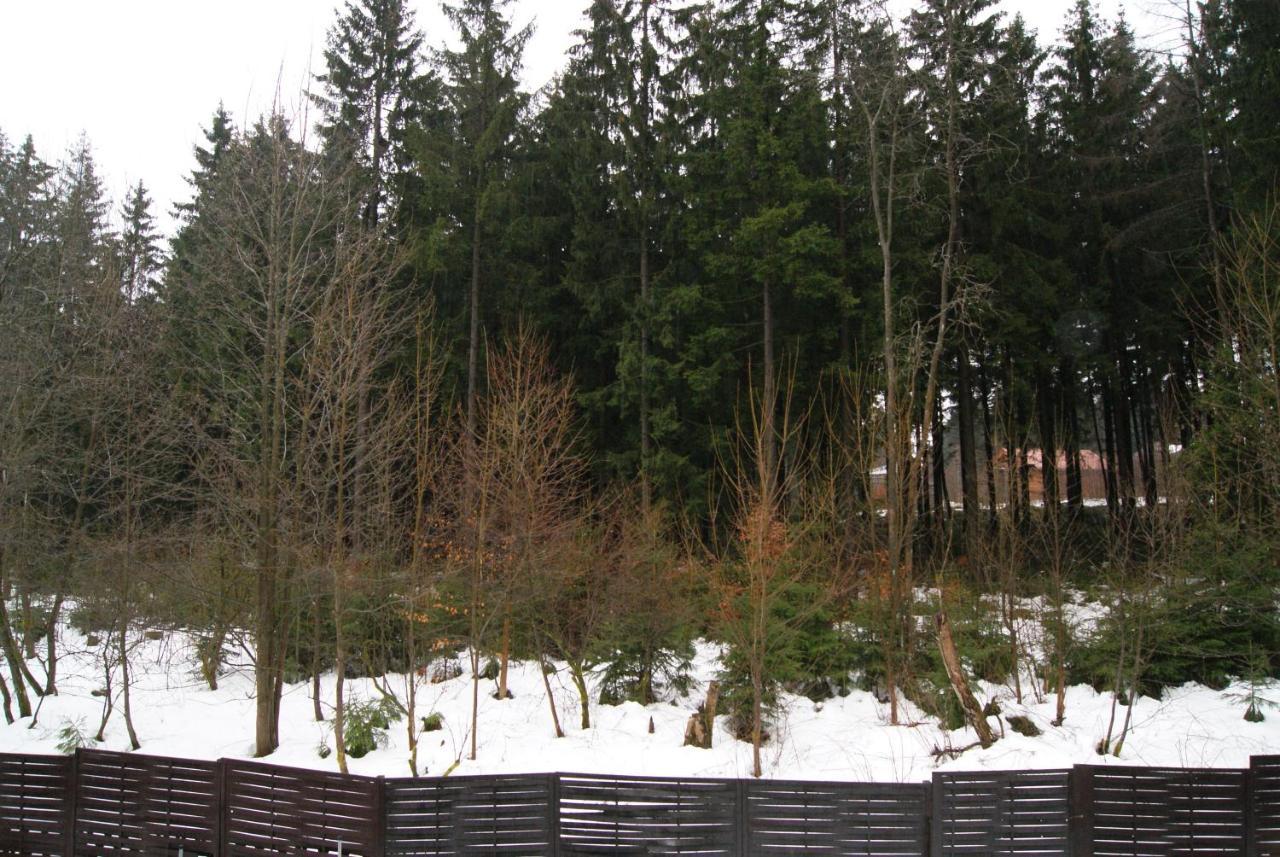 Fewo Adler 2-6 Personen Braunlage Εξωτερικό φωτογραφία
